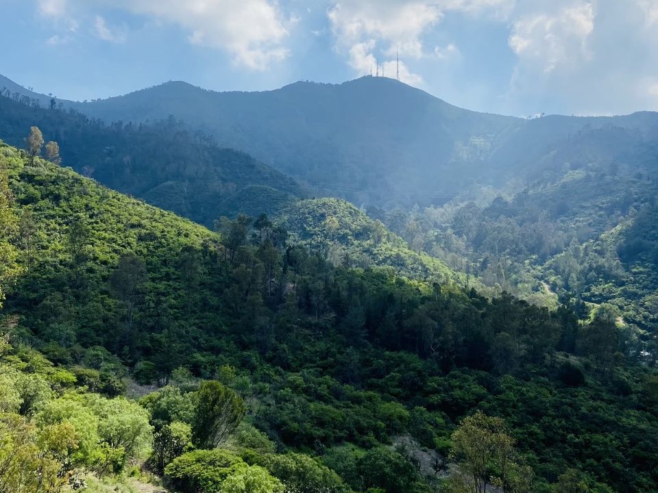Sierra de Guadalupe