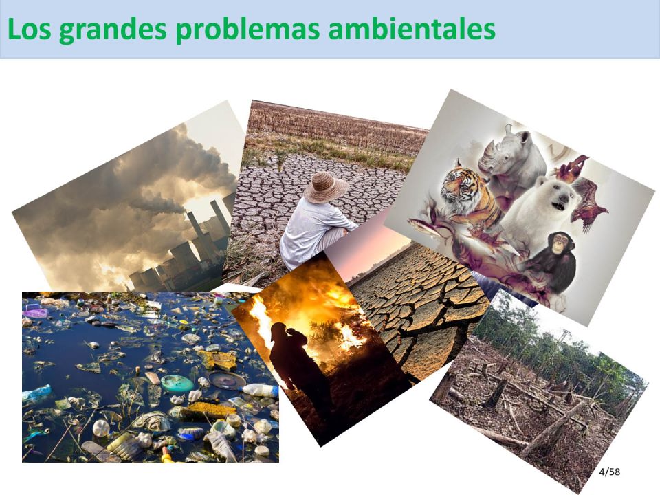Crisis ambiental