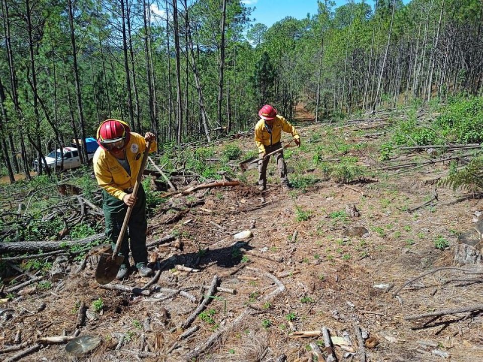 Incendios forestales