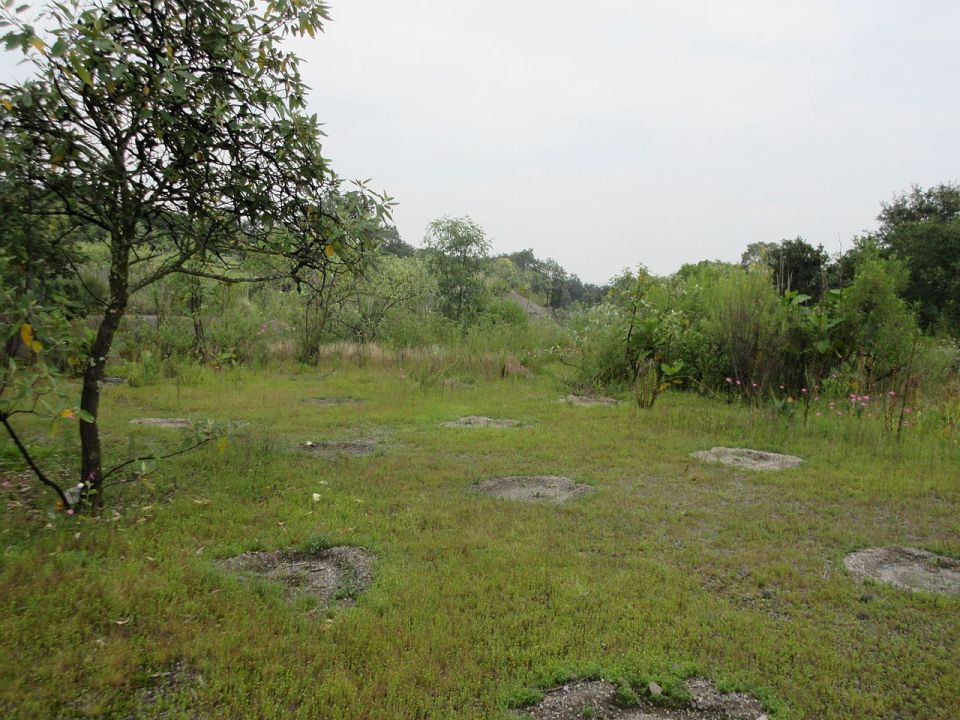 Parque Ecológico de la Ciudad de Mexico. 