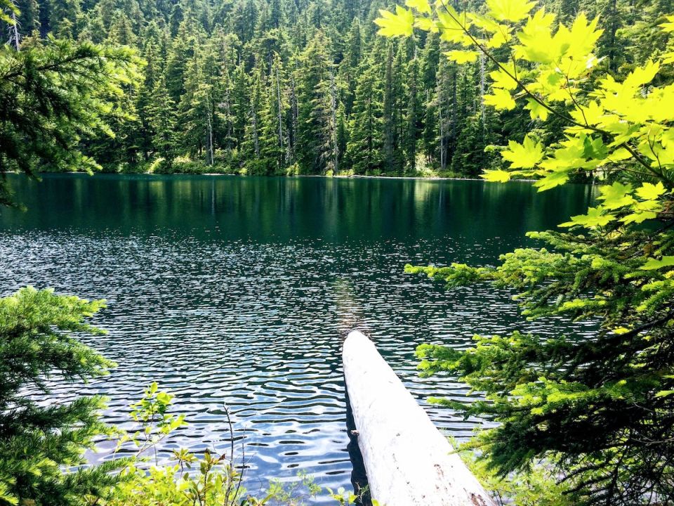 Lago y naturaleza