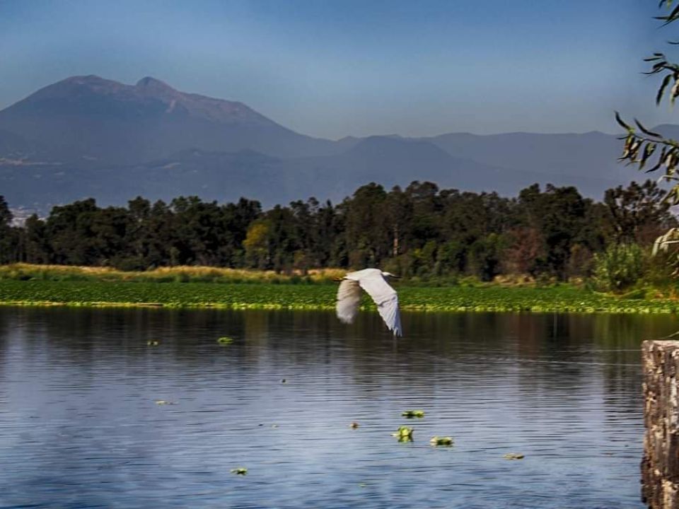 Lago Xochimilco