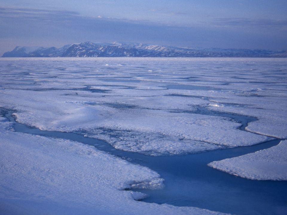 Hielo marino