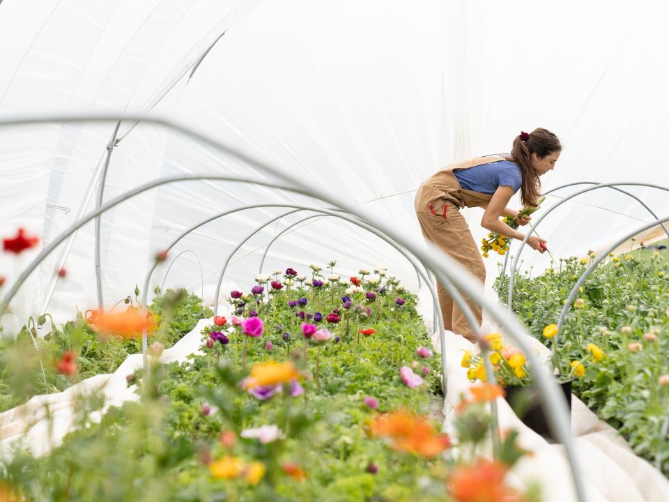 Jardinería