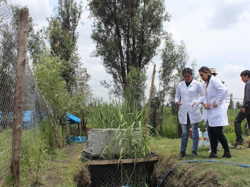 Agua en riego de Xochimilco