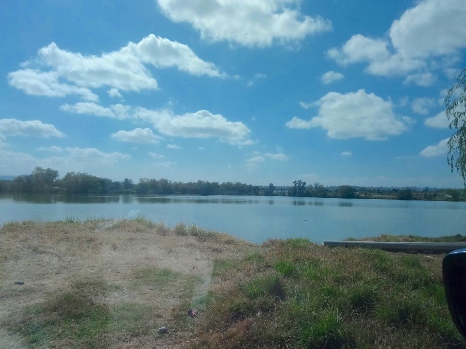 Laguna La Piedad