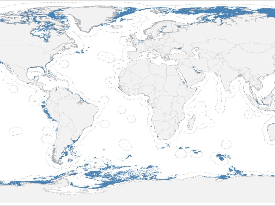 Mapa de productividad marina