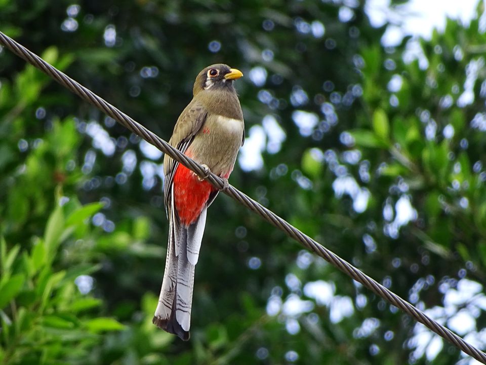 Reserva de la Biosfera Sierra de Vallejo-Río Ameca