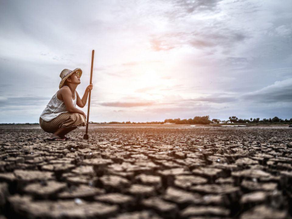 Cambio climático CIDH