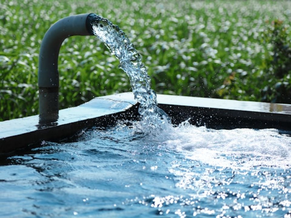 Llave de agua