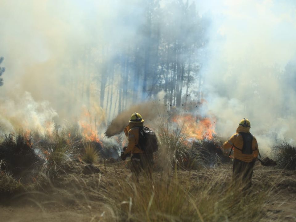 Incendio forestal