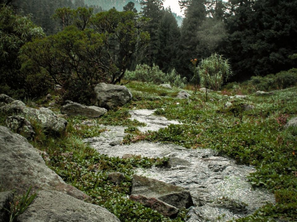 Suelo de conservación