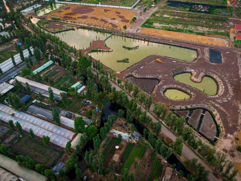 Centro para la Preservación de la Biodiversidad de la Ciudad de México. 