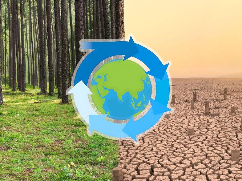 Crisis Ambiental