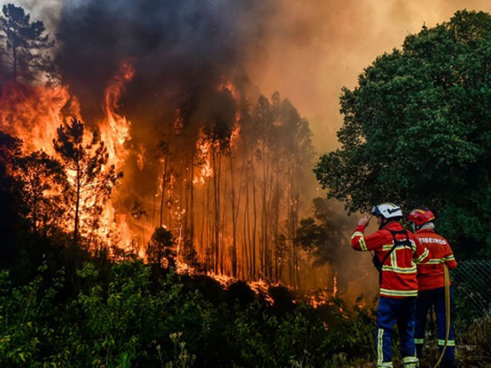 Incendio forestal