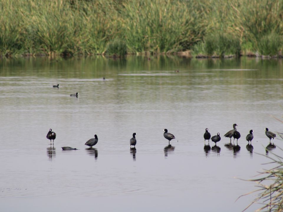 Lago de Texcoco
