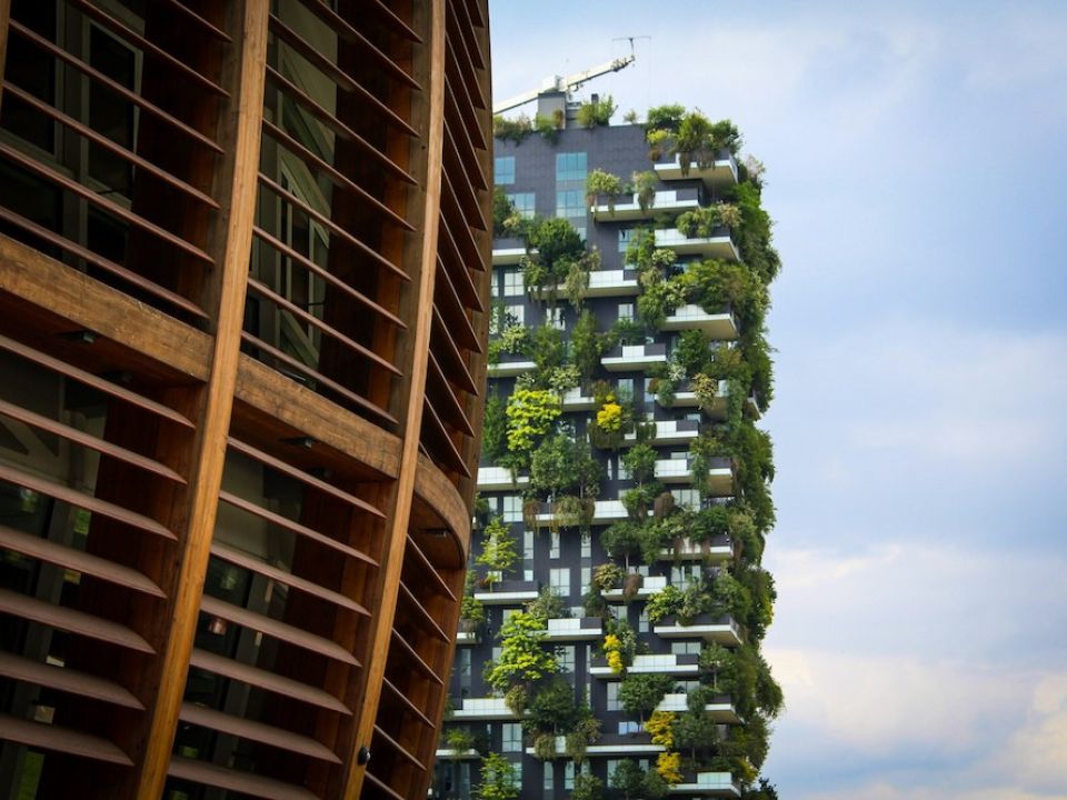Edificio verde