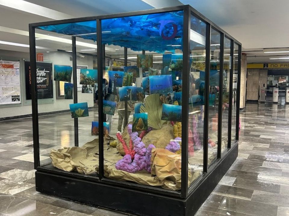 Expo “Arrecifes de coral, del mar al andén” 