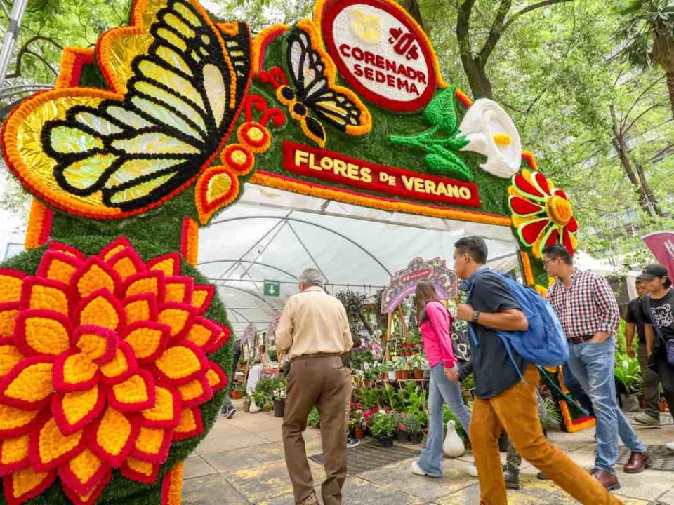 Festival de Verano