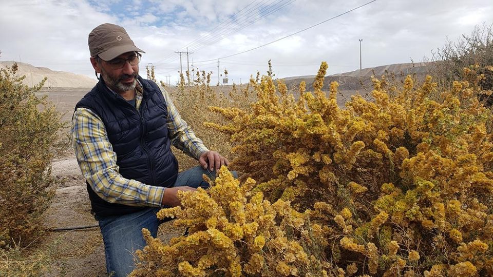 Manuel Paneque en el Desierto verde en Chile