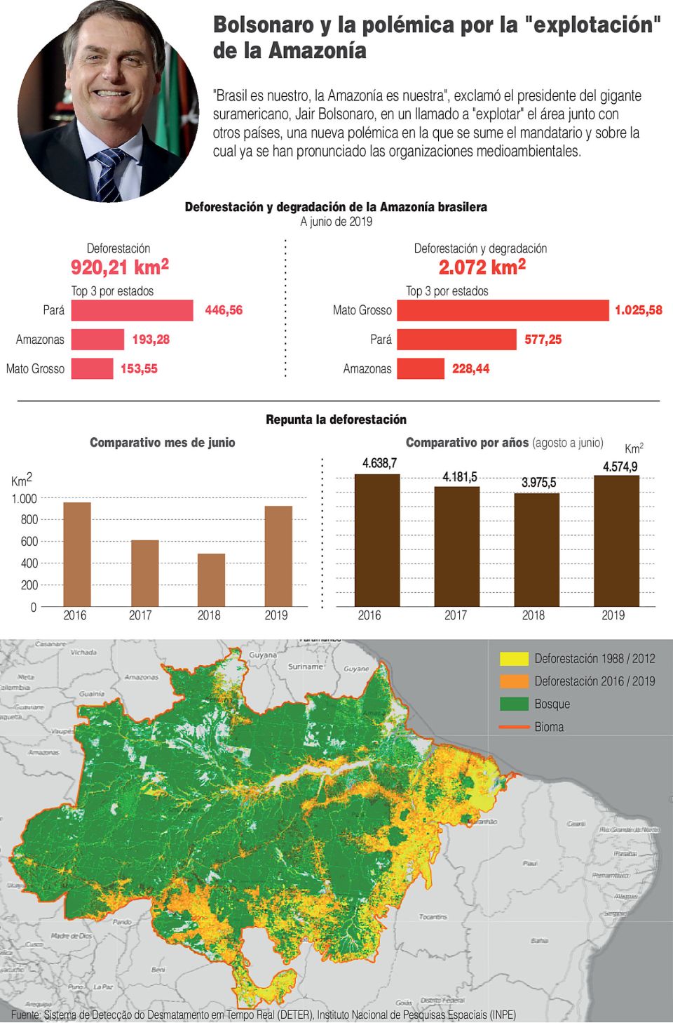 Infografía. Deforestación de la Amazonia