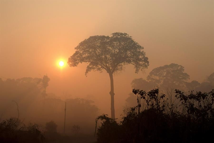 Humo en la Amazonia