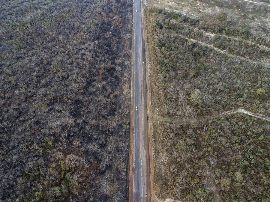 Incendio en Amazonia