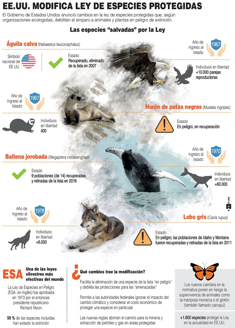 Infografía. EUA Modifica Ley De Especies Protegidas