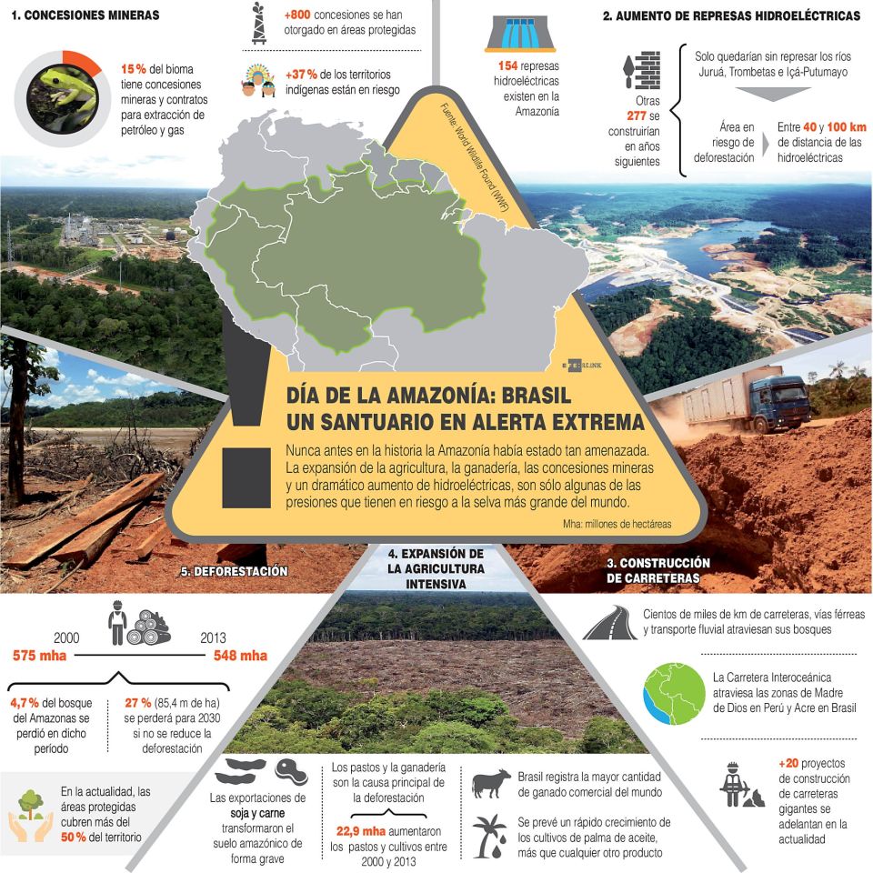 Infografía del Día de la Amazonia