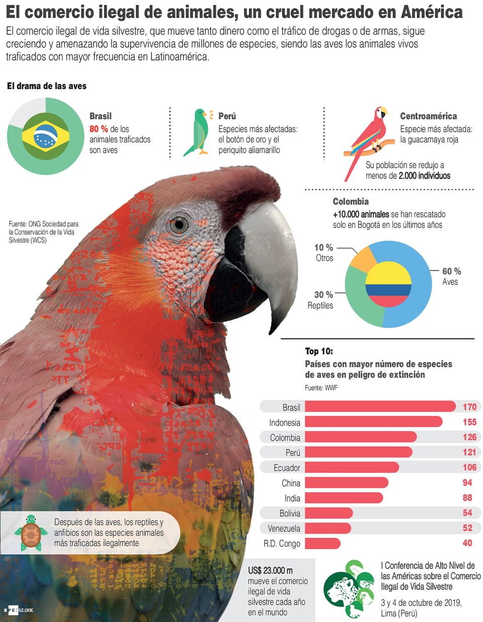 Infografía. Comercio Ilegal de Animales