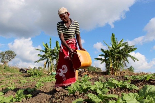 Agricultora