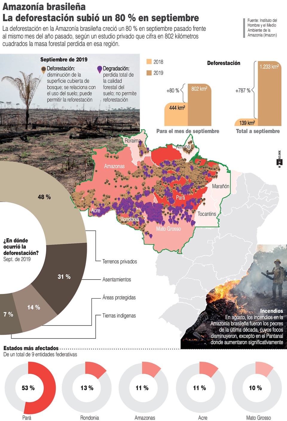 Infografía. Deforestación de Amazonia en Septiembre