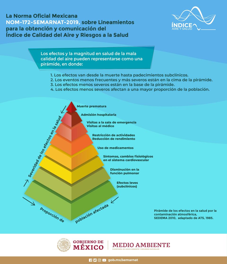 Infografía NOM-172