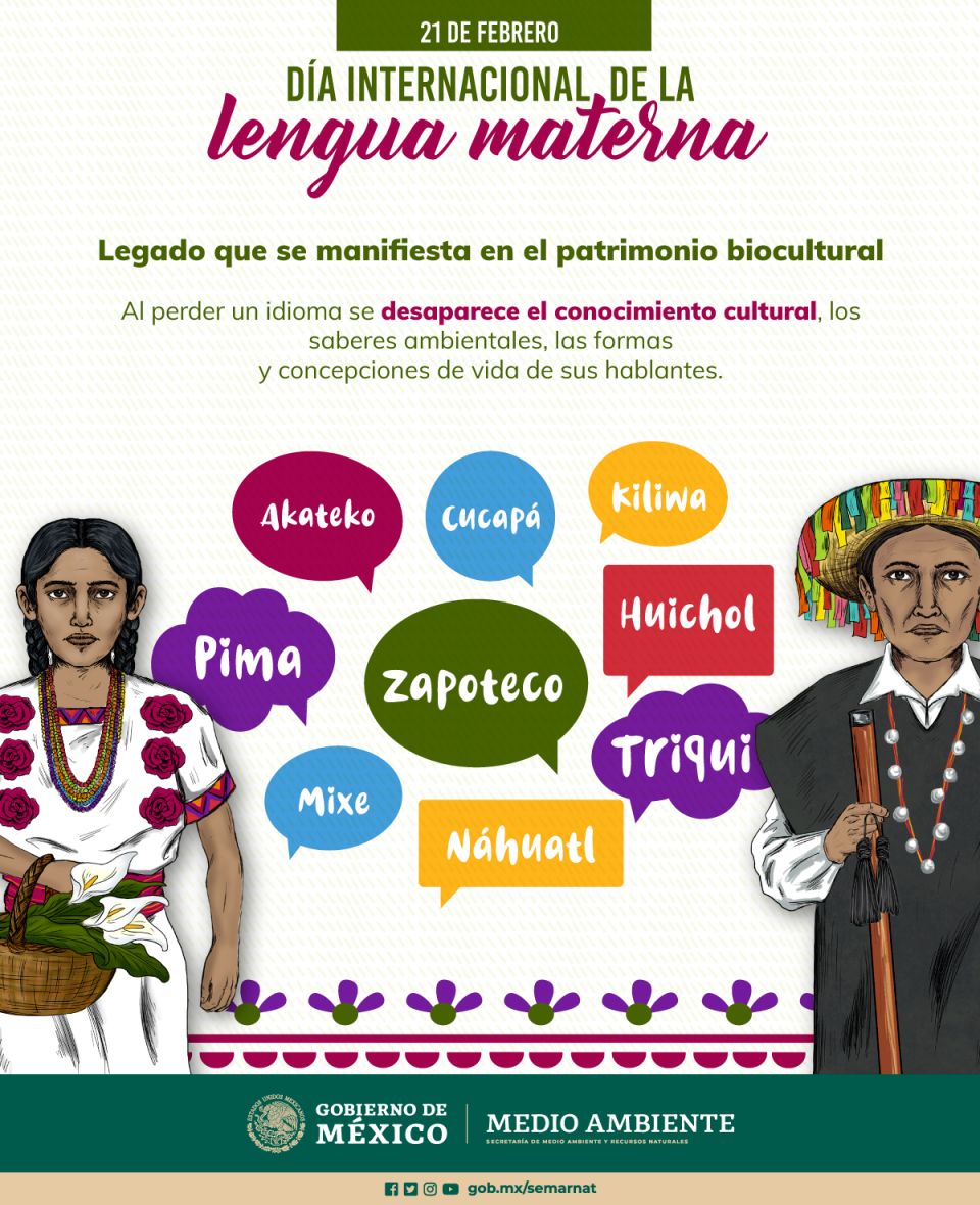 Infografía. Lenguas maternas