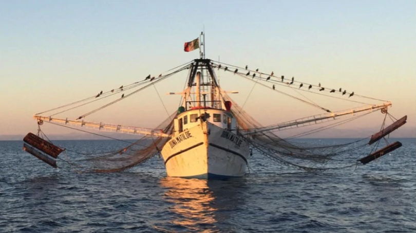 Barco pesquero