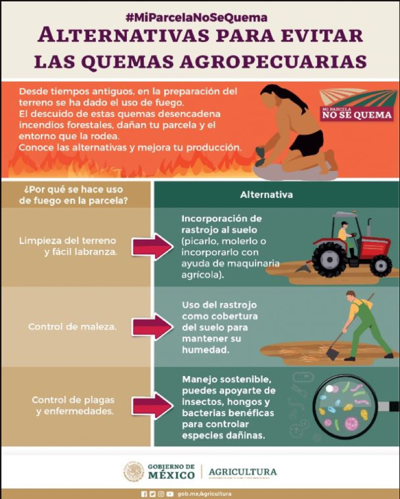 Infografía de quema agrícola