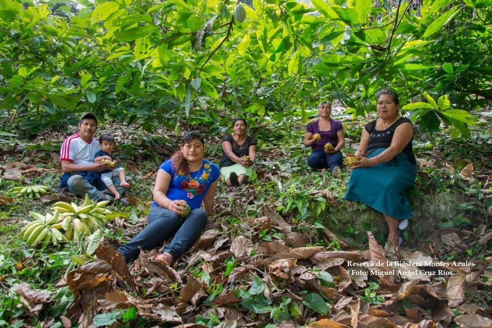 Personas en un huerto