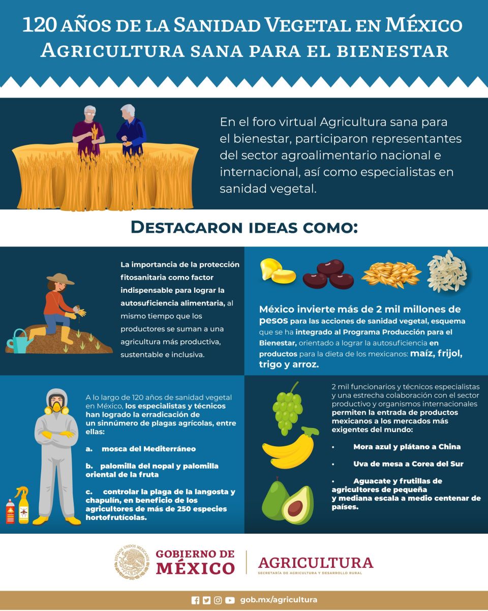 Infografía de Sanidad vegetal