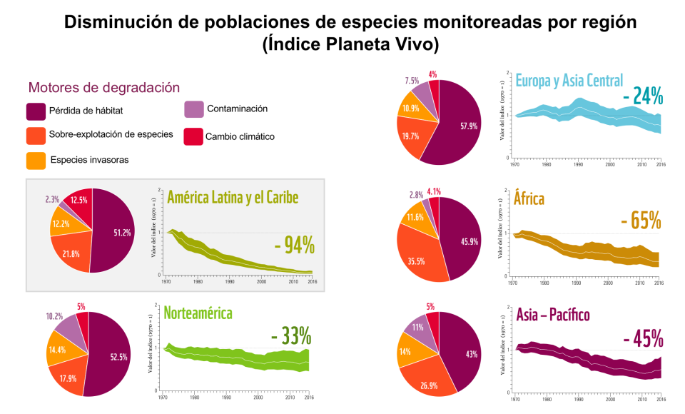 Infografía Planeta Vivo