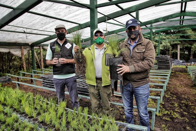 Vivero del Parque Nacional Nevado de Colima