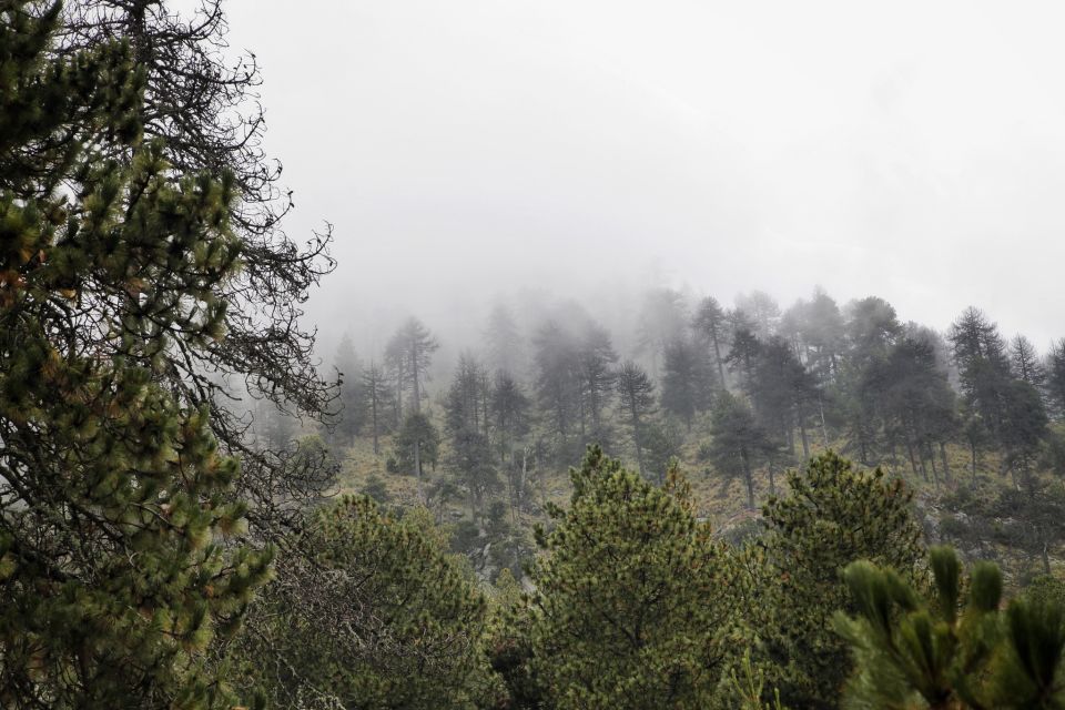 Parque Nacional Nevado de Colima