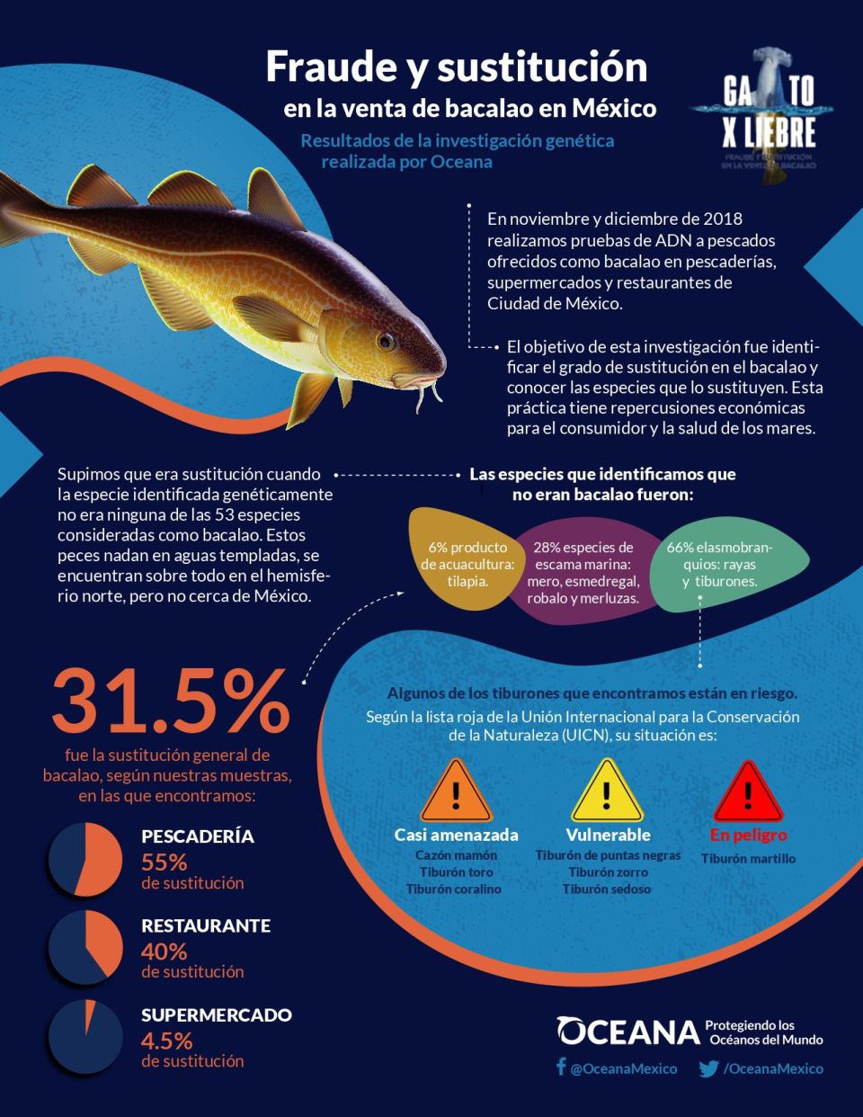 Infografía Bacalao