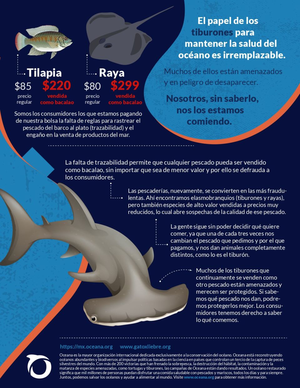 Infografía Bacalao