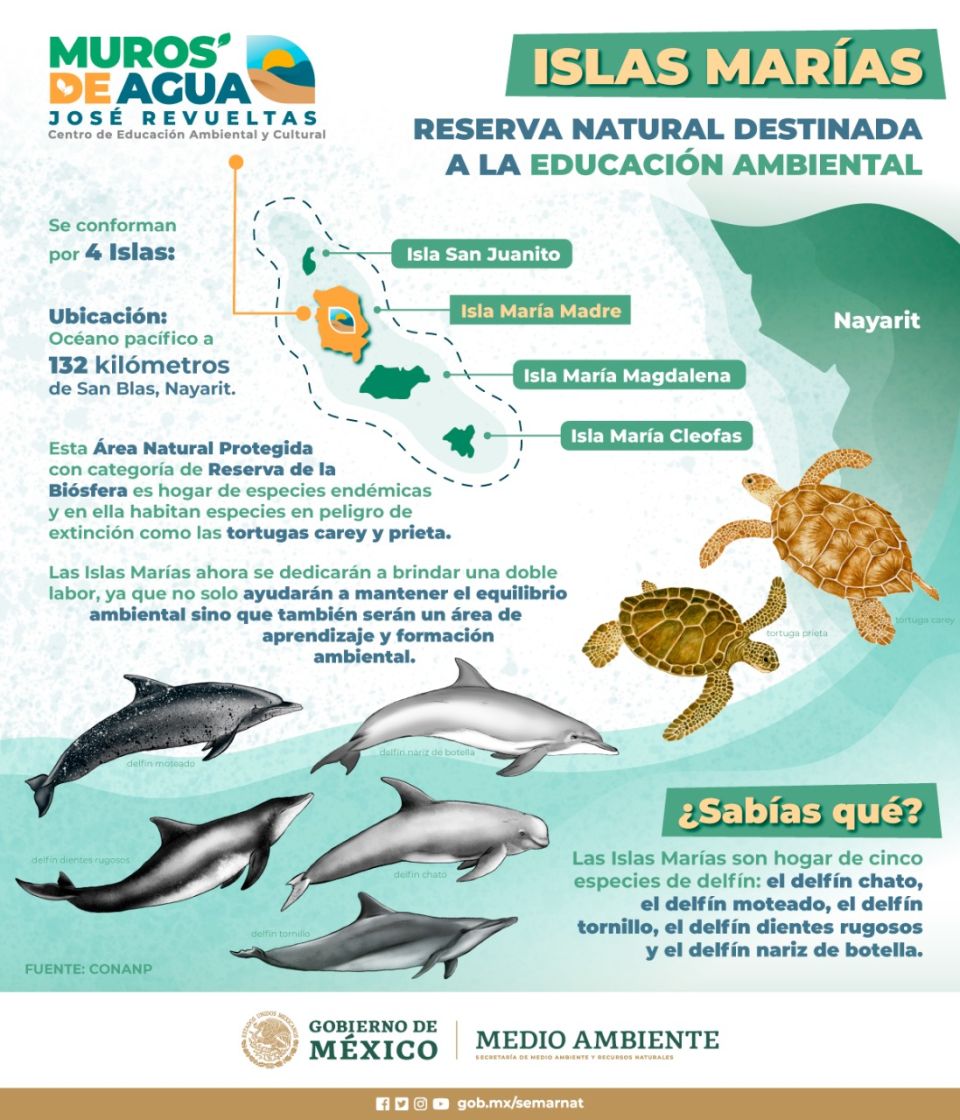 Infografía. Muros de agua