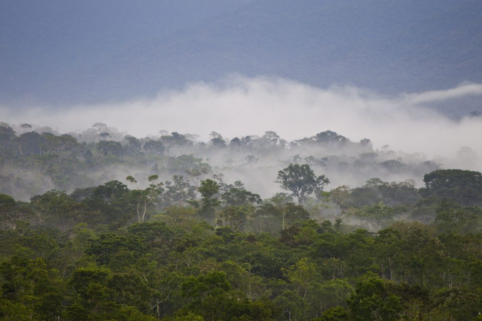 Amazonía ecuatoriana