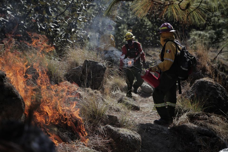 Incendios forestales