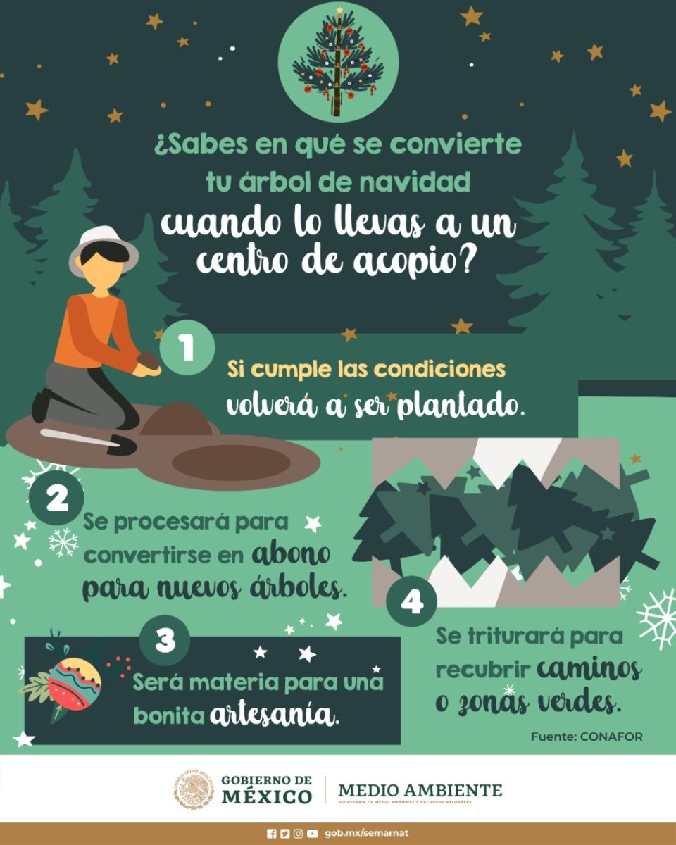 Infografía Árbol de Navidad