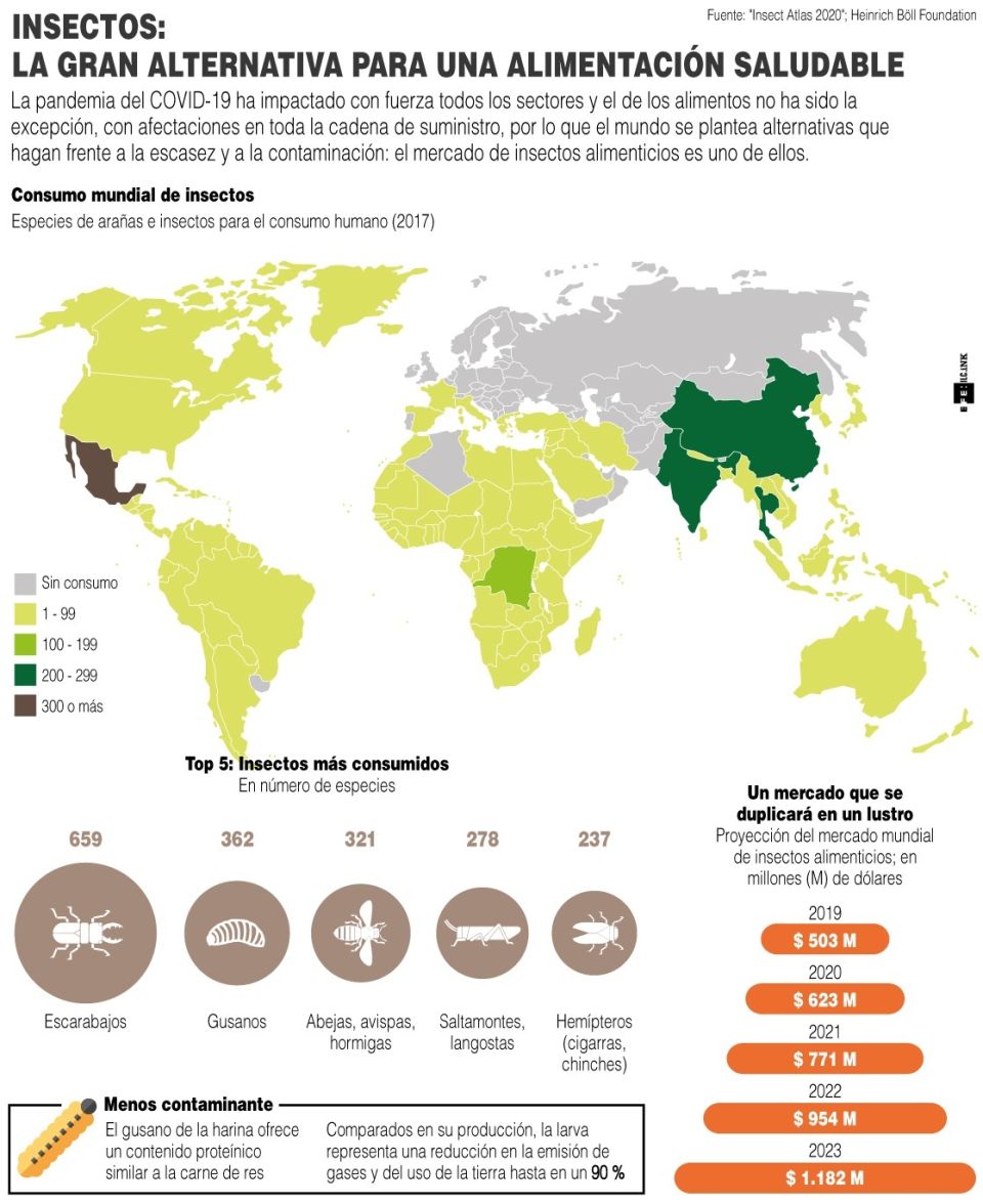 Infografía insectos