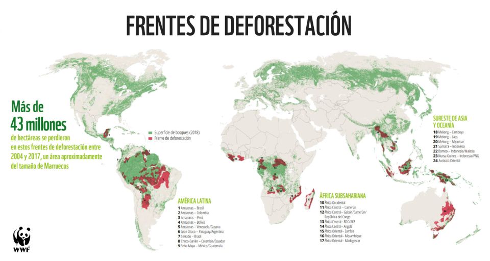 Infografía deforestación