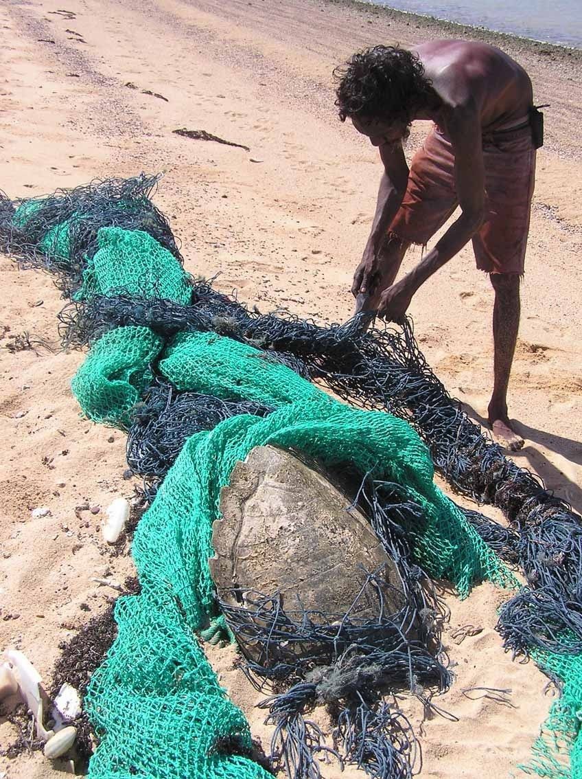 red fantasma con una tortuga enredada